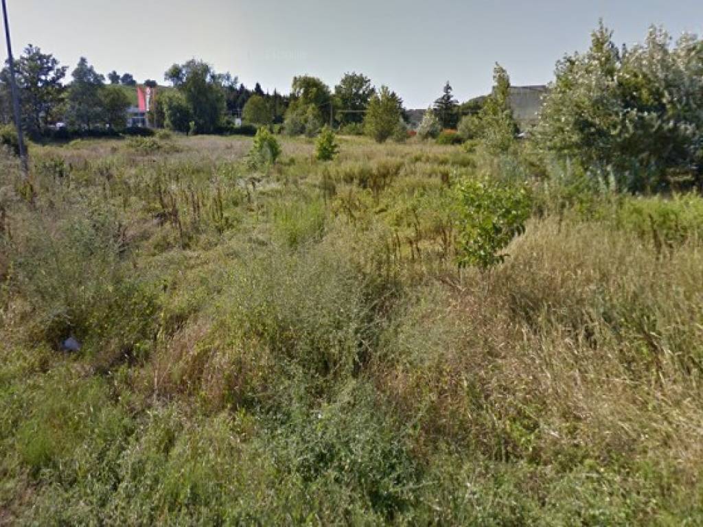 Terreno a San marzano oliveto in Regione Marziano - Foto 4