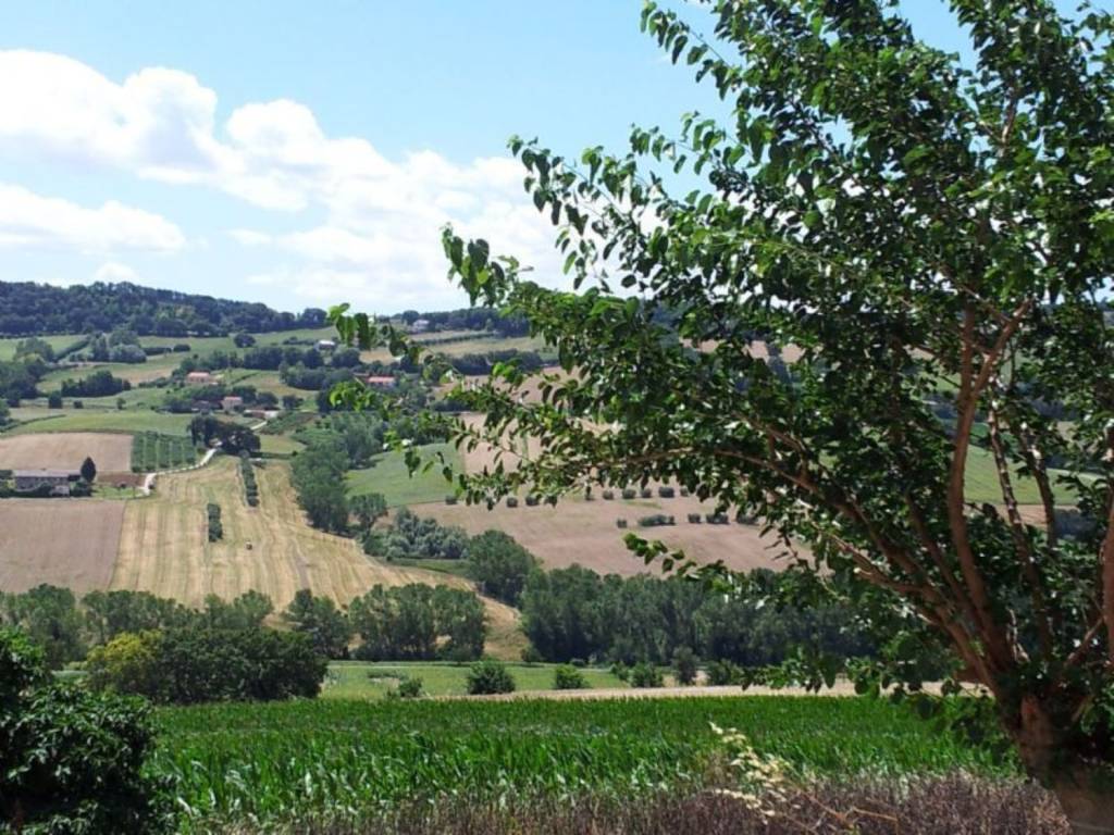 Terreno a Potenza picena in Contrada Montecanepino s.n.c - Foto 3