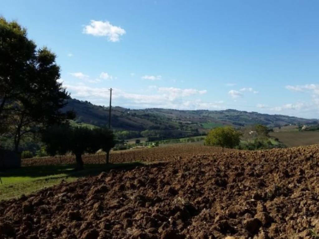 Terreno a Potenza picena in Contrada Montecanepino s.n.c - Foto 4