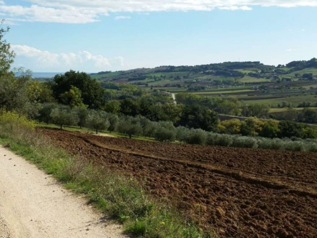 Terreno a Potenza picena in Contrada Montecanepino s.n.c - Foto 5