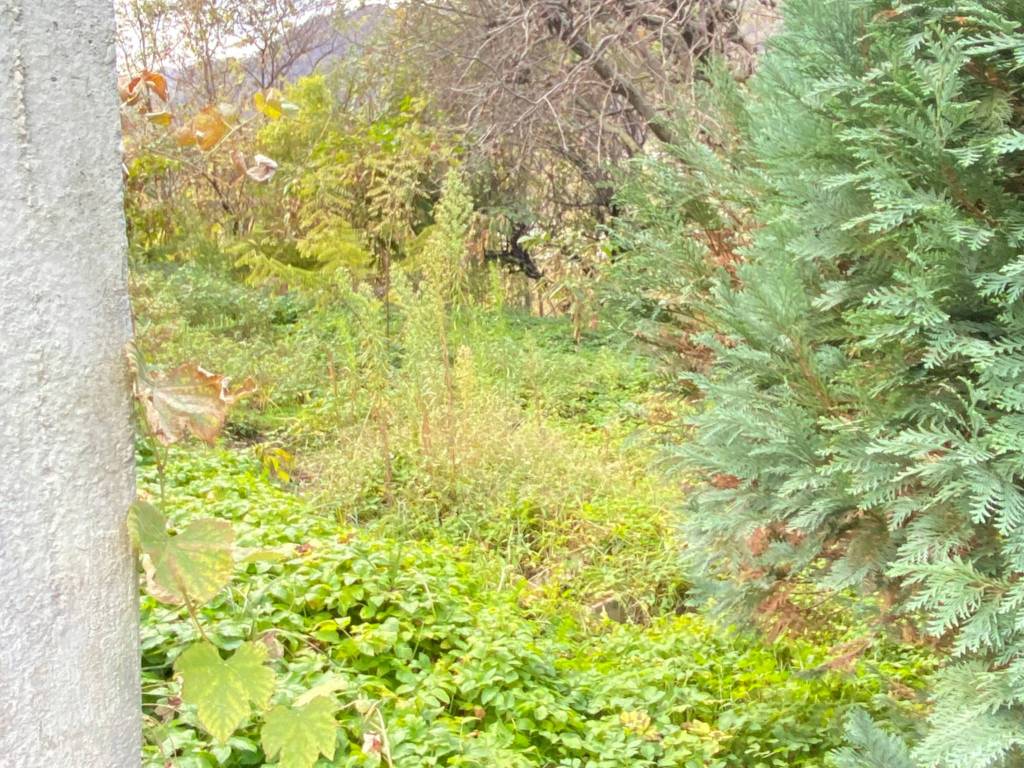 Appartamento a Quarona in Via 25 Aprile, 7 - Foto 4