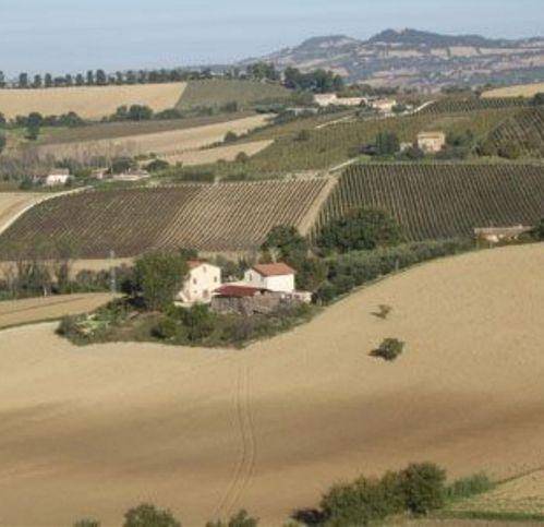 Rustico / casale a Recanati - Foto 2