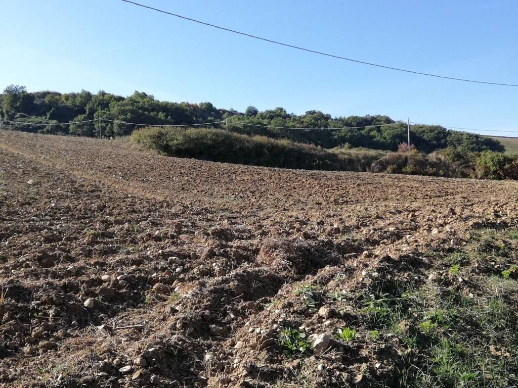Terreno a Casalbordino in Contrada Santo Stefano - Foto 2