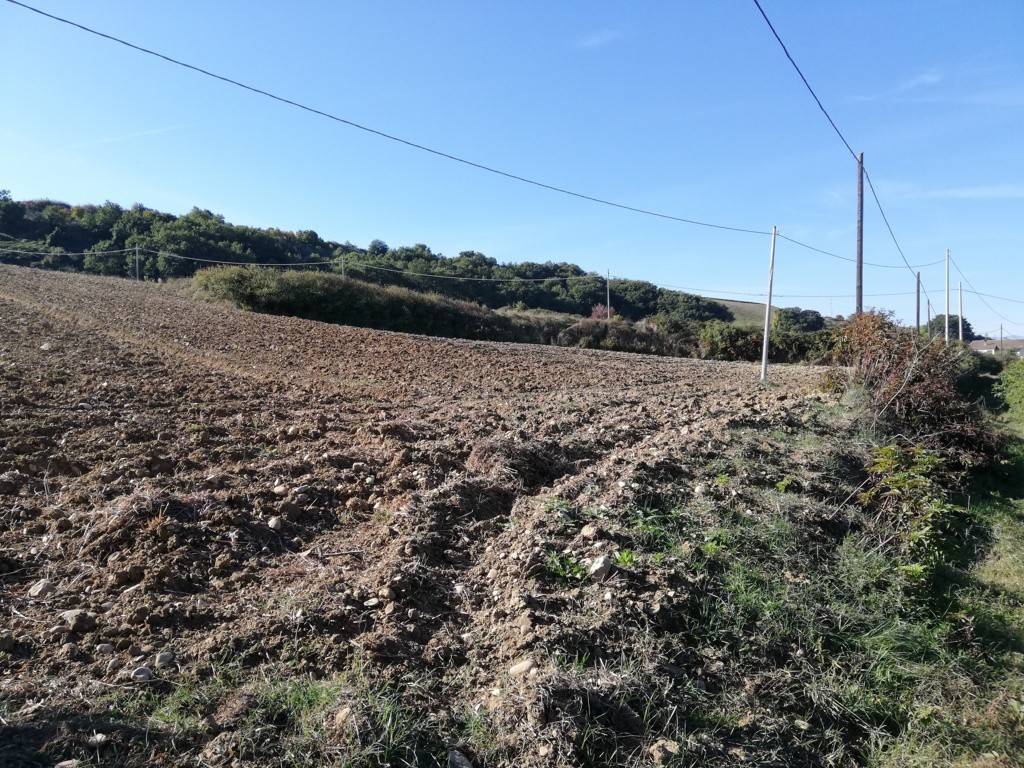 Terreno a Casalbordino in Contrada Santo Stefano - Foto 3