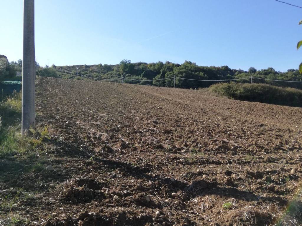 Terreno a Casalbordino in Contrada Santo Stefano - Foto 4