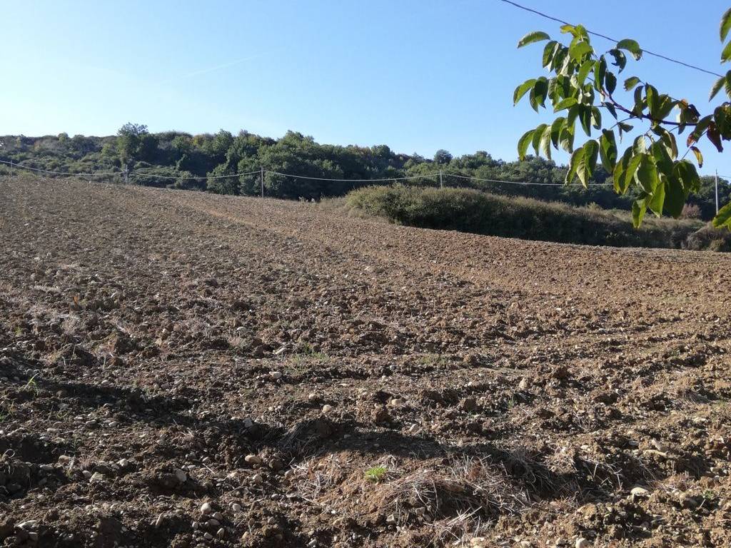 Terreno a Casalbordino in Contrada Santo Stefano - Foto 5