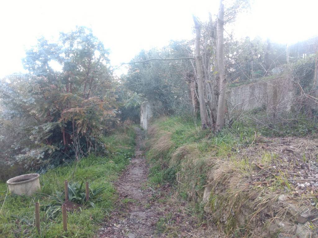 Villa a Apricale in Località Pian del Soglio - Foto 4