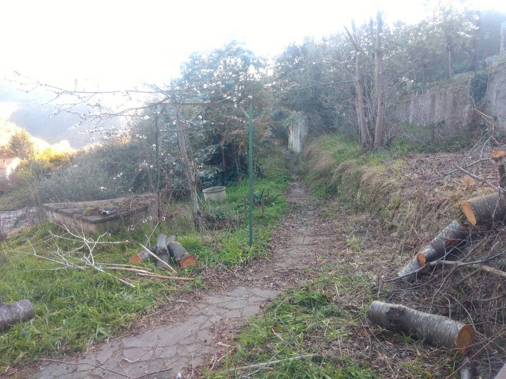 Villa a Apricale in Località Pian del Soglio - Foto 5