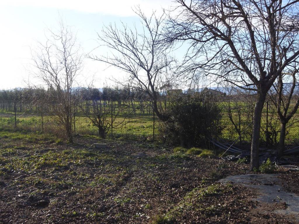 Terreno a Agliana - Foto 2