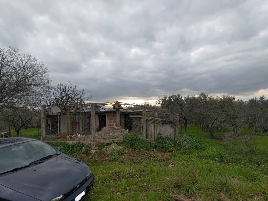 Terreno a Narni in Strada Di Borgaria - Foto 2