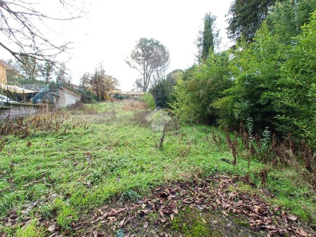 Terreno a Nepi in Via dei Pini - Foto 5