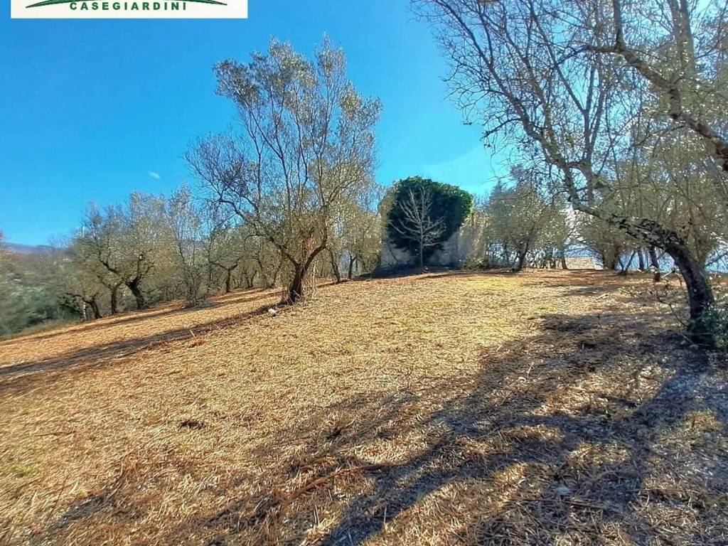 Rustico / casale a Monteleone sabino in Via Casali Macchie No Number - Foto 2