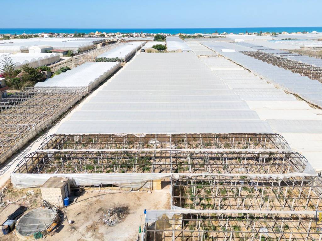 Terreno a Acate in Contrada da Macconi - Foto 3