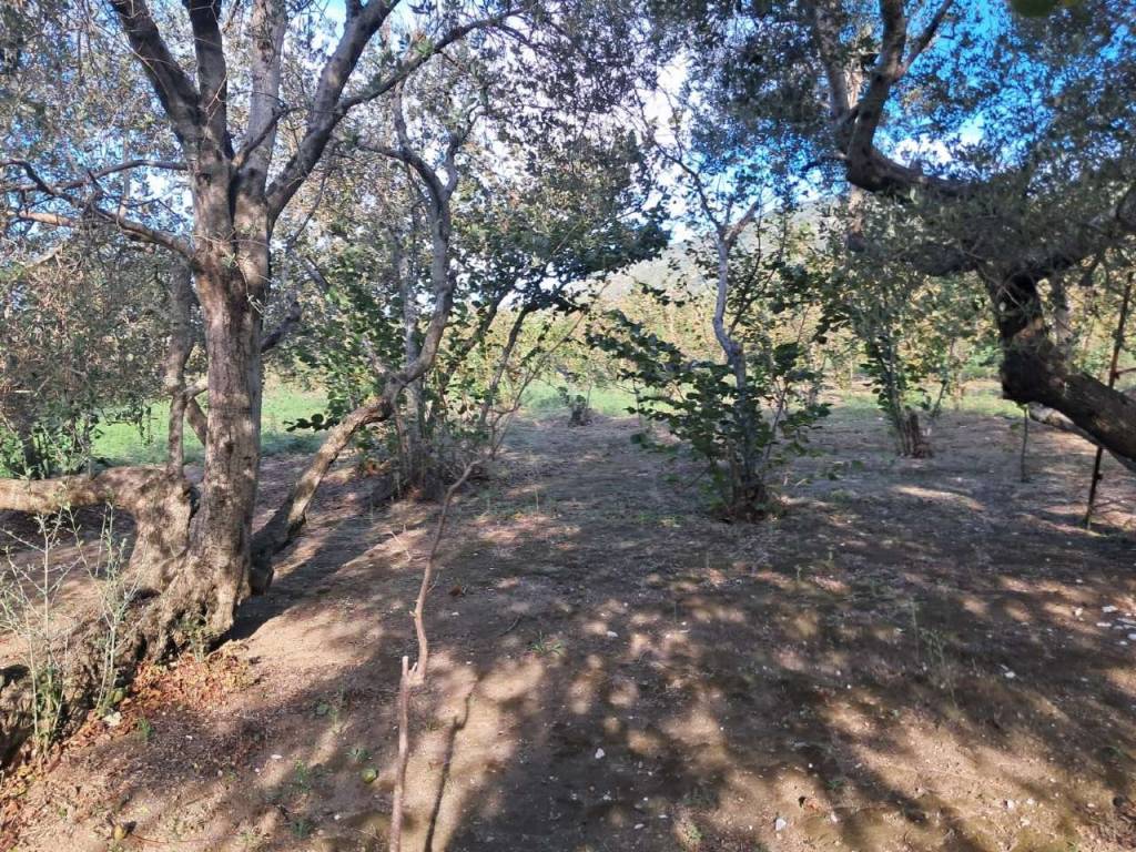 Terreno a Avella in via DEI MULINI SNC - Foto 2