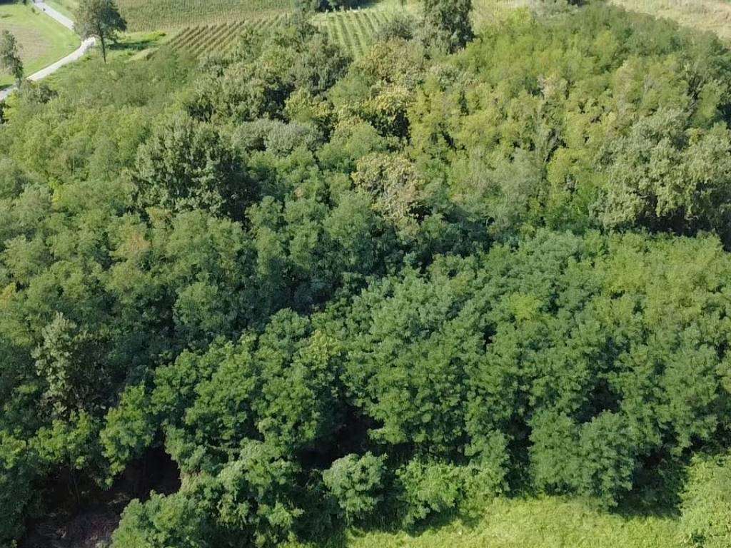 Terreno a Mossa in Via 4 Novembre - Foto 3