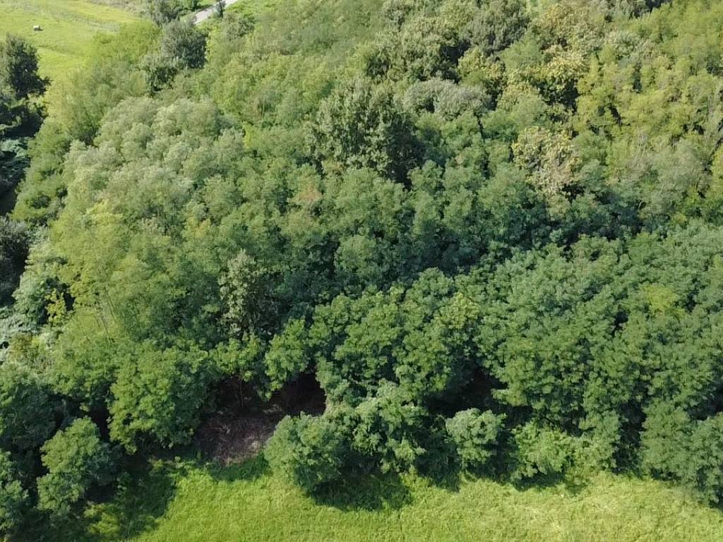 Terreno a Mossa in Via 4 Novembre - Foto 4