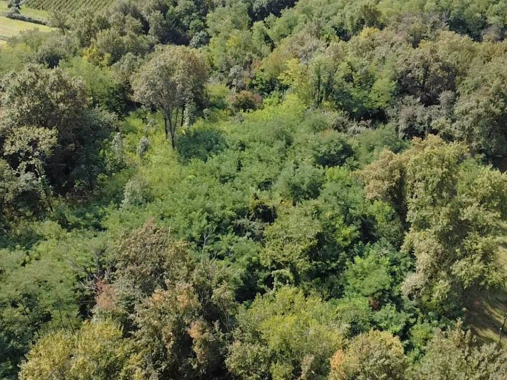 Terreno a Gorizia in Via del Collio - Foto 2