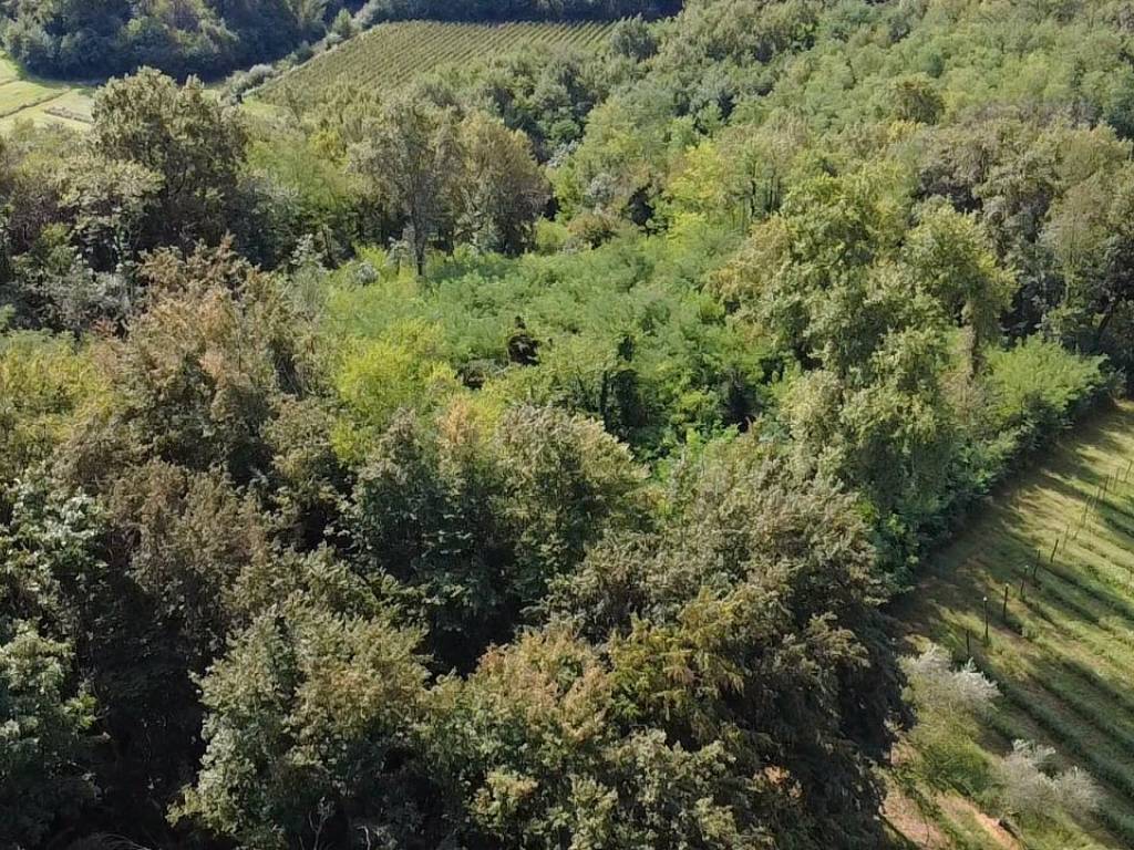 Terreno a Gorizia in Via del Collio - Foto 3