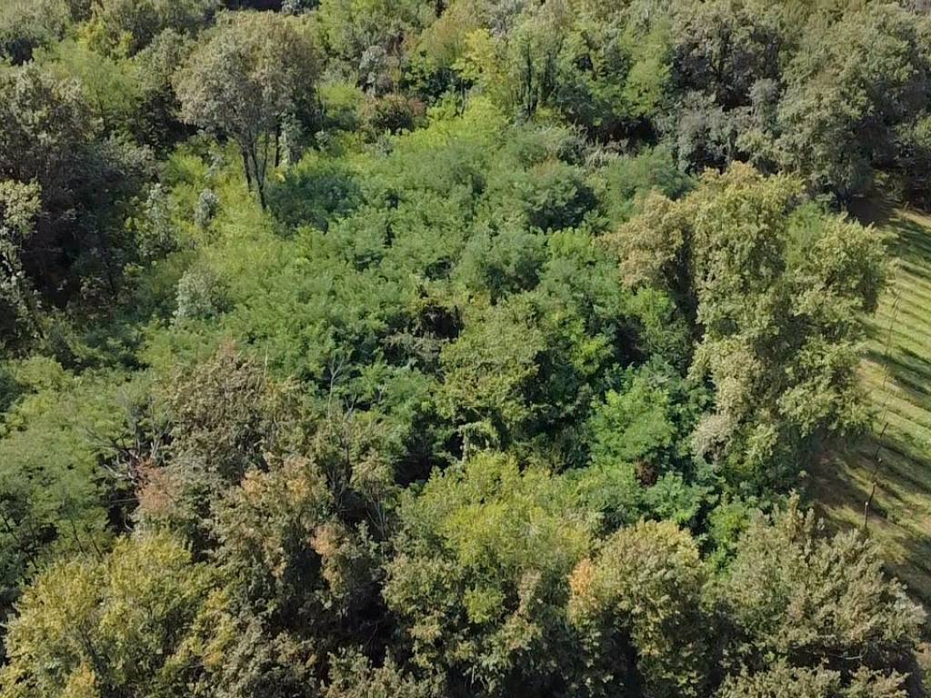 Terreno a Gorizia in Via del Collio - Foto 4