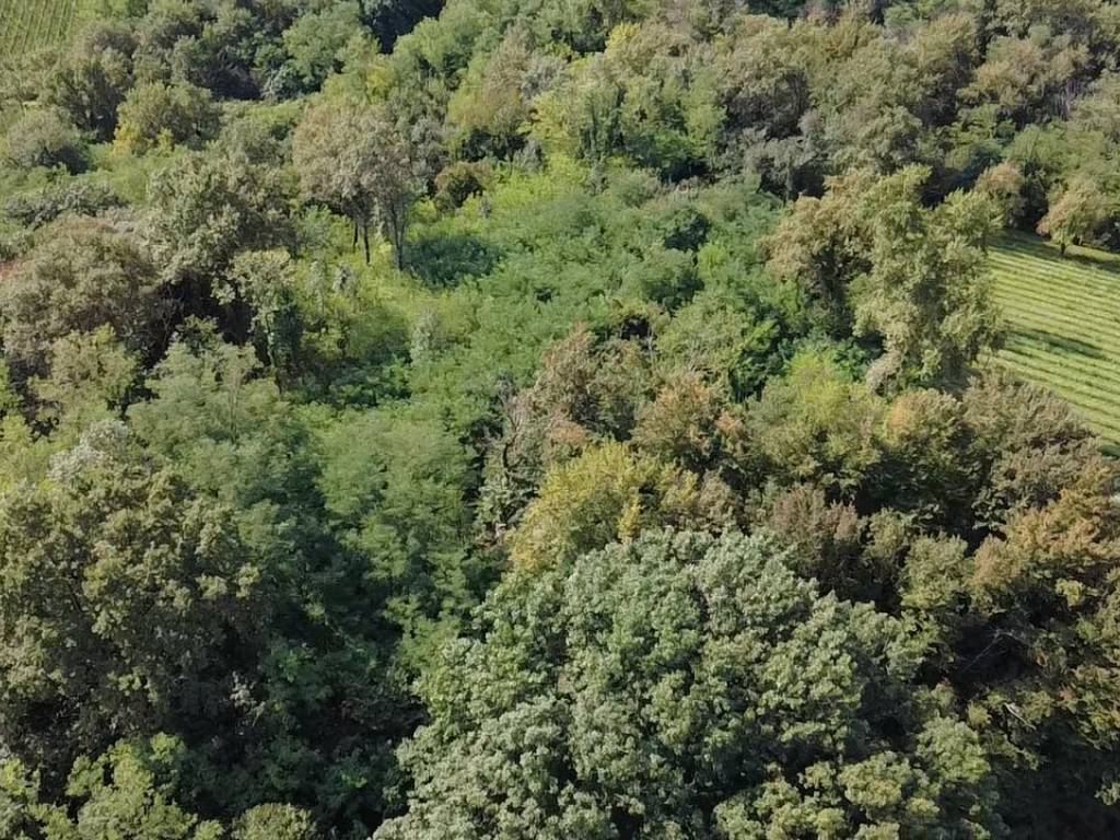 Terreno a Gorizia in Via del Collio - Foto 5