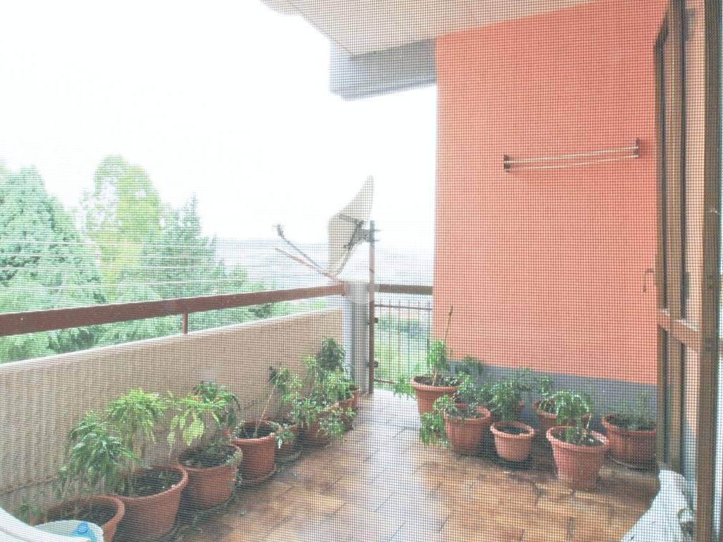 Appartamento a Montenero di bisaccia in Viale Europa, 25 - Foto 3