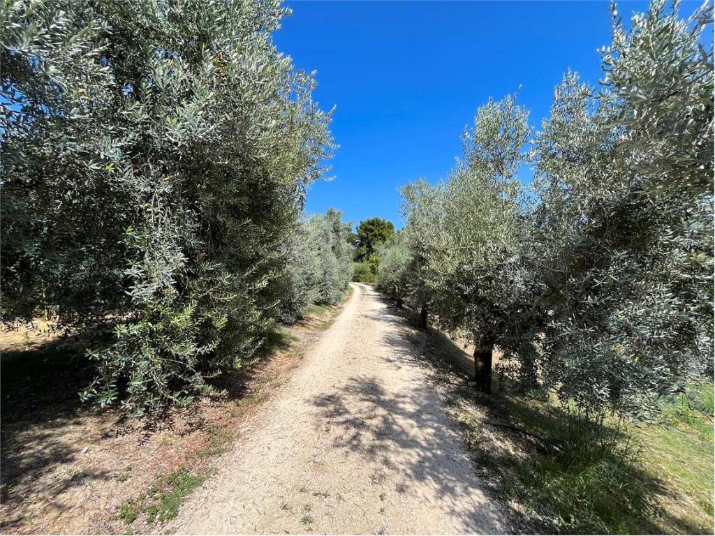 Rustico / casale a Osimo in Via Montegallo, 69 - Foto 2