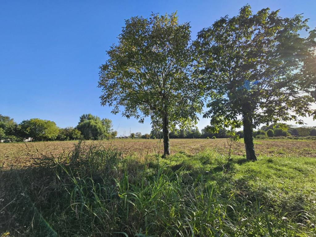 Terreno a Borgo veneto in VIA POISE - Foto 2