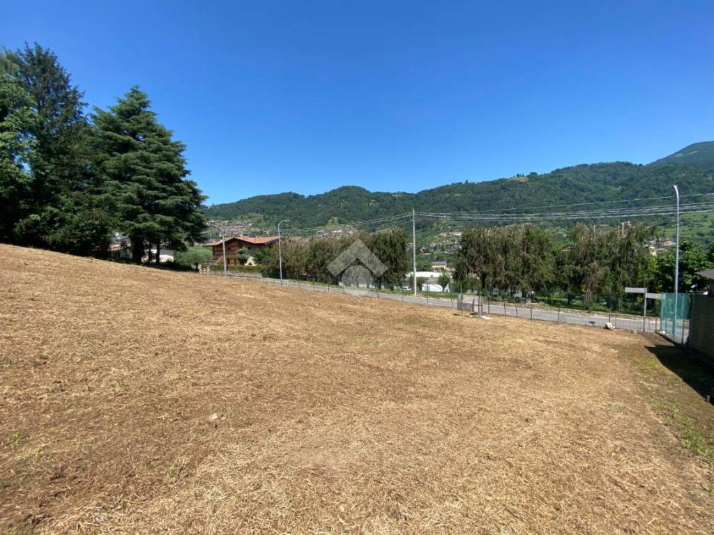 Terreno a Foresto sparso in V. Solarolo - Foto 3