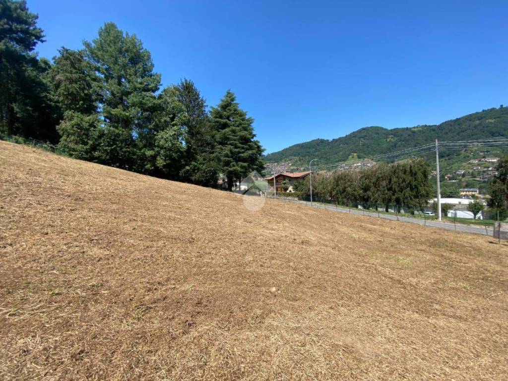 Terreno a Foresto sparso in V. Solarolo - Foto 3