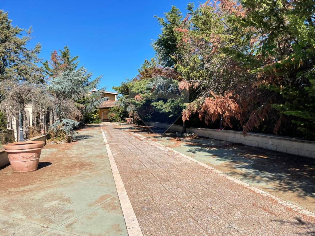 Villa a Trani in Via Santa Lucia, 24 - Foto 3