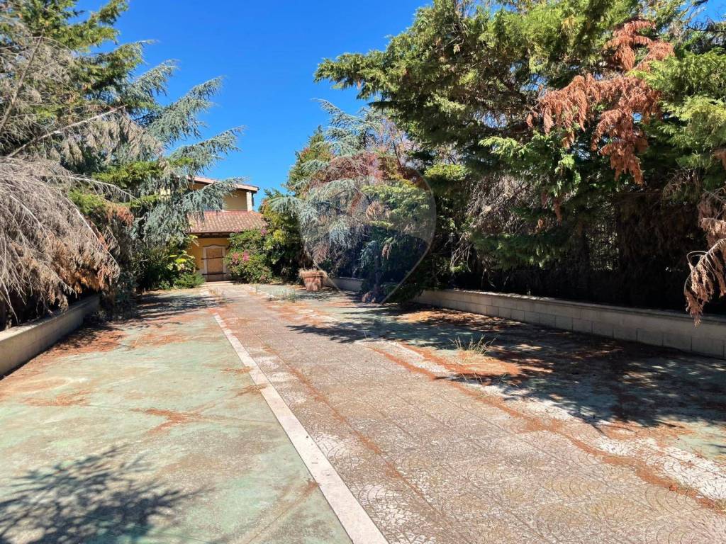 Villa a Trani in Via Santa Lucia, 24 - Foto 4