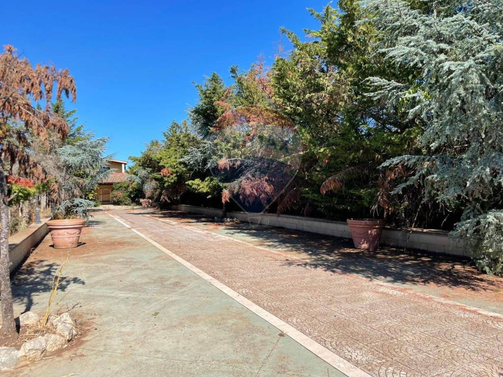 Villa a Trani in Via Santa Lucia, 24 - Foto 5