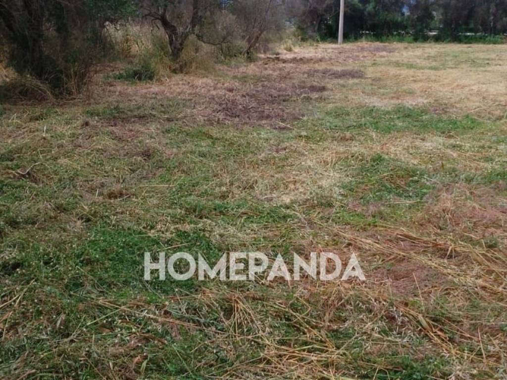 Terreno a Montalbano jonico in Via Emilia, 2 - Foto 3