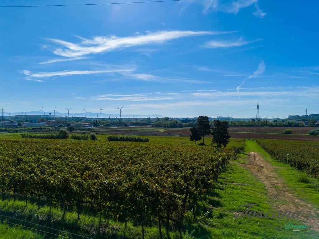 Terreno a Piombino in Località Le Fabbricciane - Foto 2