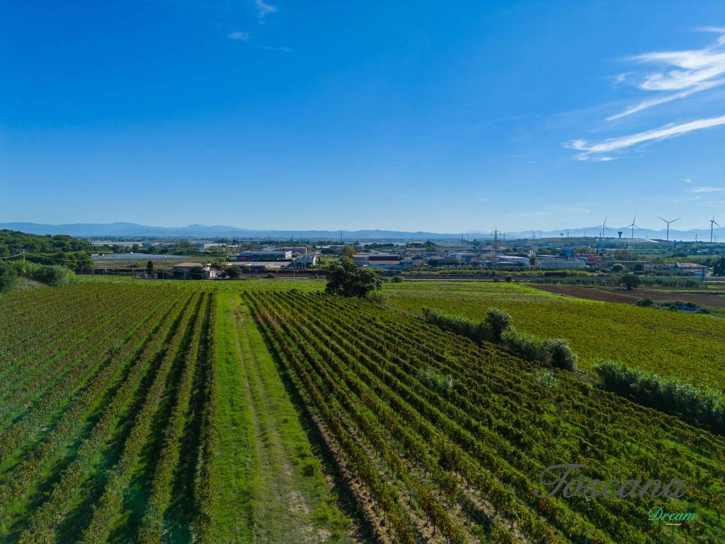 Terreno a Piombino in Località Le Fabbricciane - Foto 3
