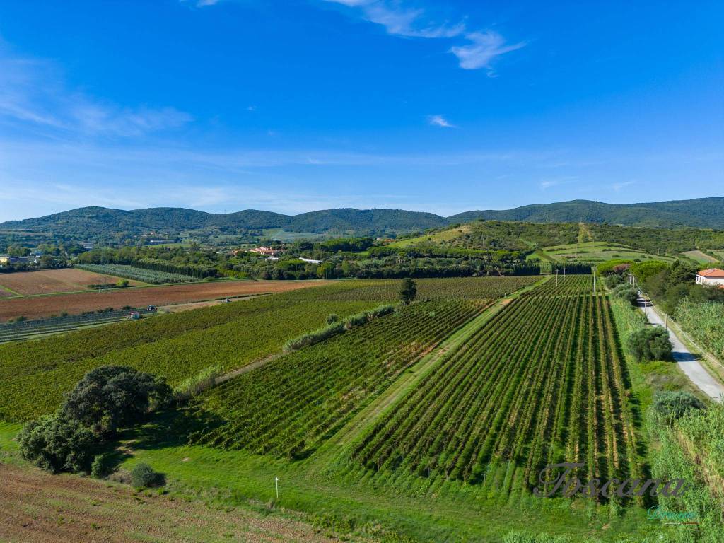 Terreno a Piombino in Località Le Fabbricciane - Foto 4