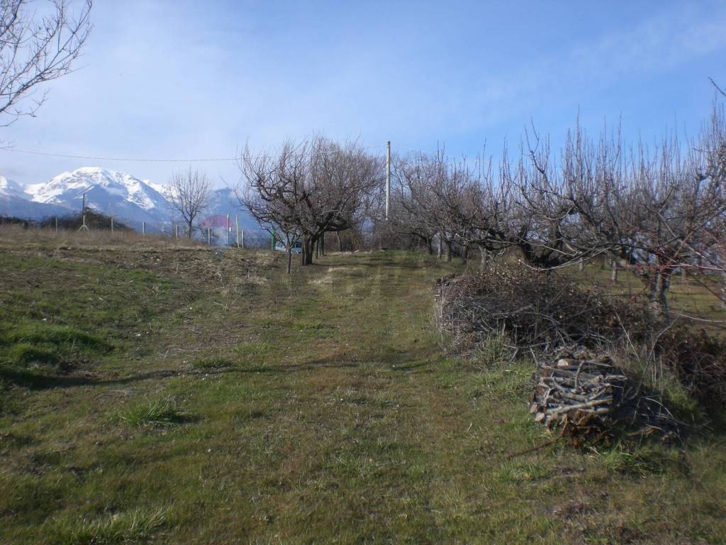 Terreno a Gessopalena in SP110 - Foto 4
