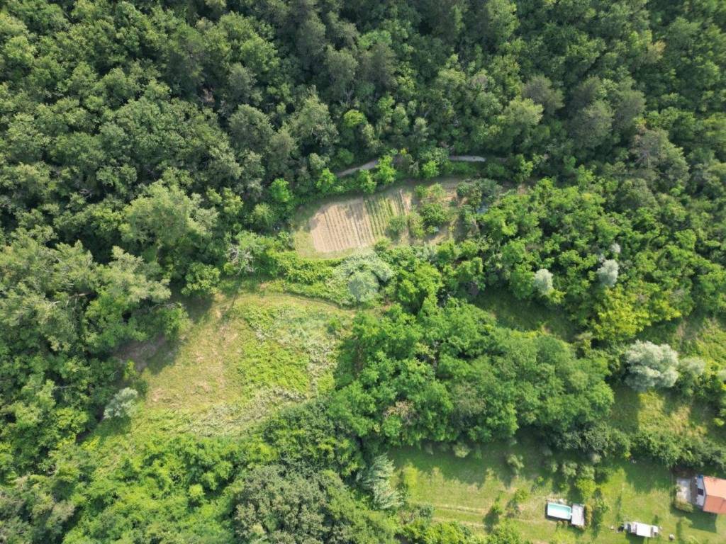 Terreno a Muggia in Località Vignano - Foto 2