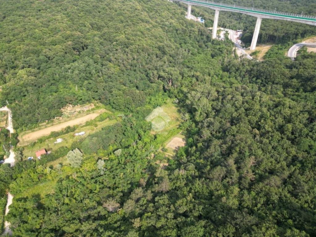 Terreno a Muggia in Località Vignano - Foto 5