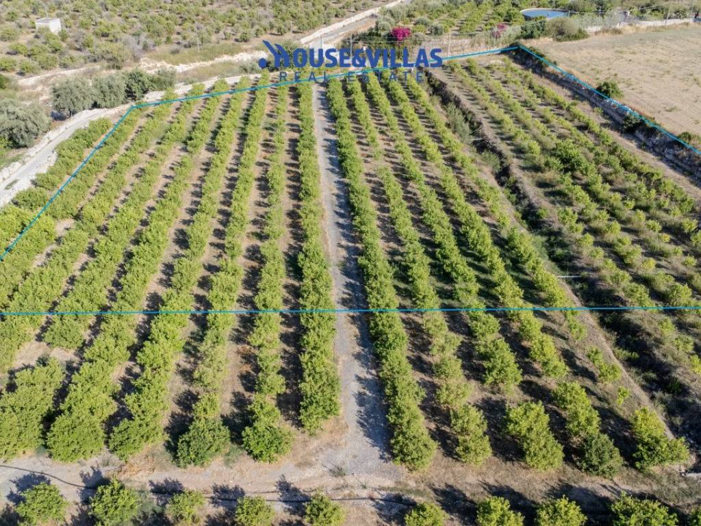 Terreno a Avola in strada via mutubè - Foto 2