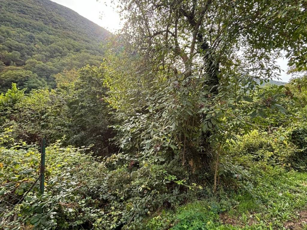 Terreno a Sefro in Via Pietro Gori - Foto 4