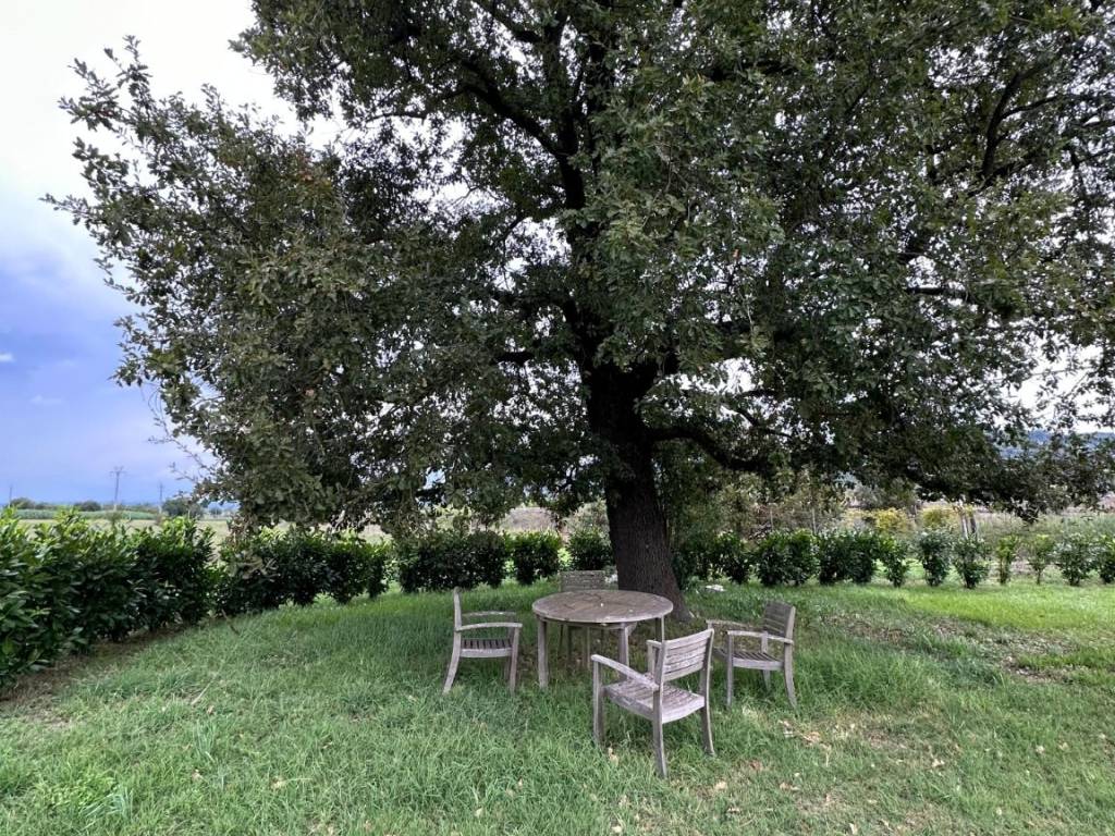 Villa a Orte in San Michele - Foto 3