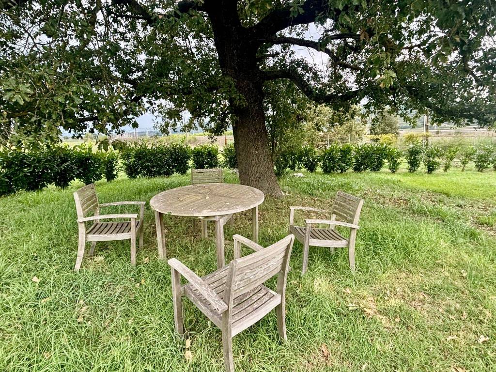 Villa a Orte in San Michele - Foto 5