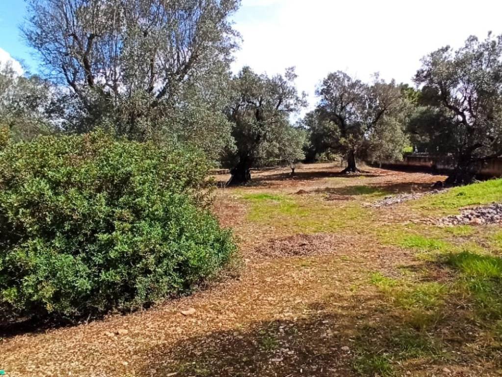 Rustico / casale a Francavilla fontana in Contrada Palmarino - Foto 3