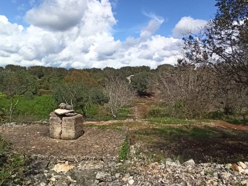 Rustico / casale a Francavilla fontana in Contrada Palmarino - Foto 5