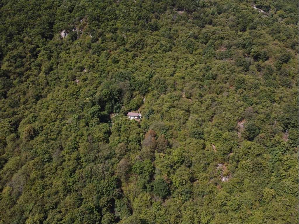 Rustico / casale a Pallanzeno in Alpe Cesa, snc - Foto 5