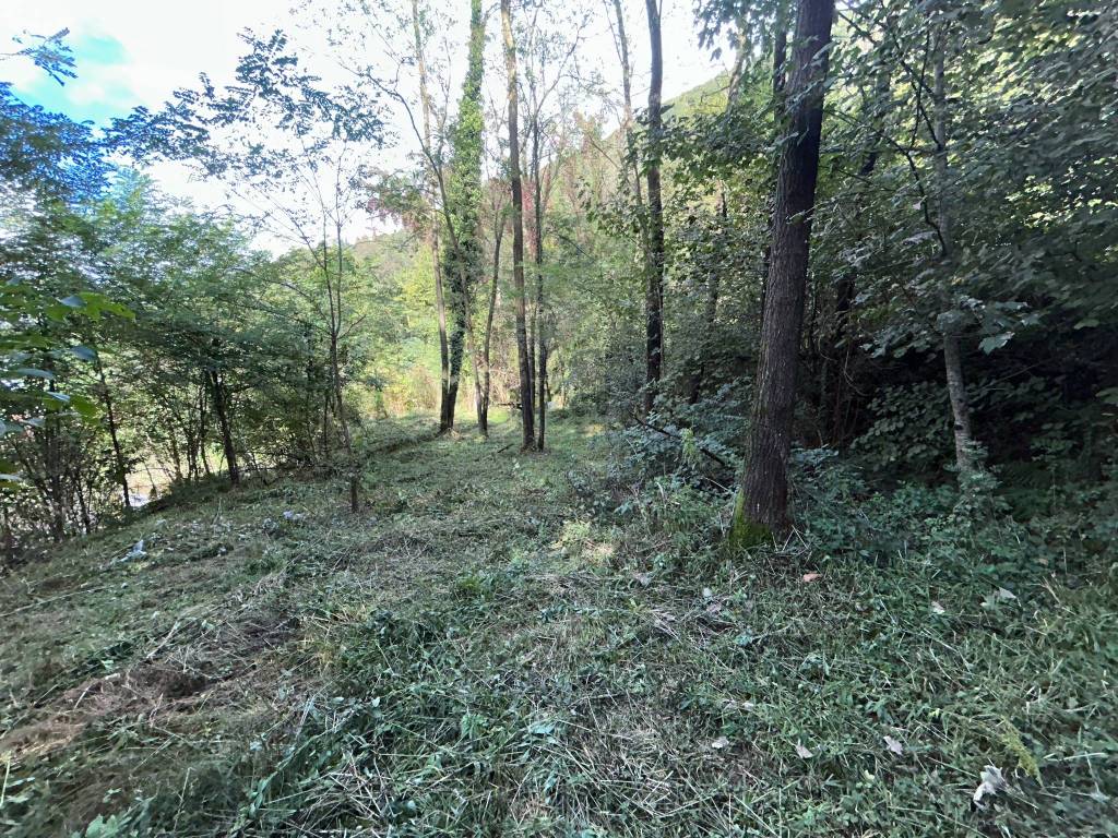 Terreno a Valganna - Foto 2