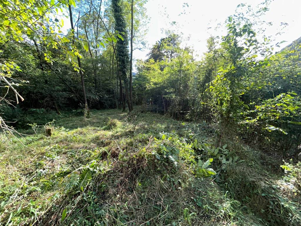 Terreno a Valganna - Foto 3