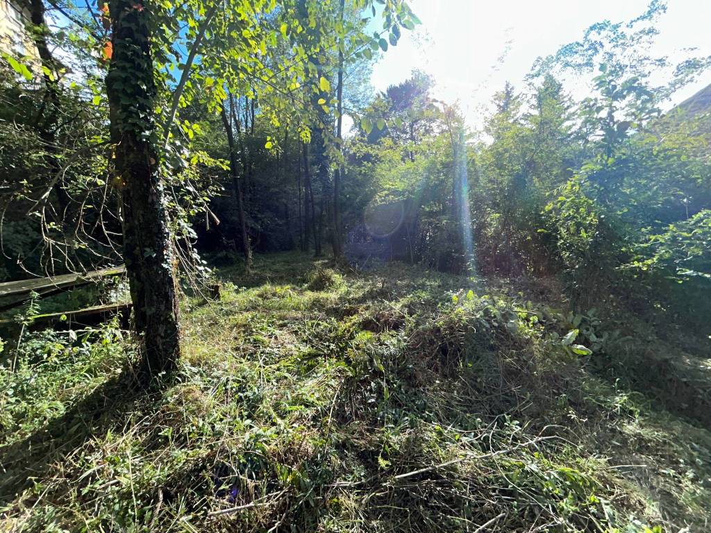 Terreno a Valganna - Foto 4