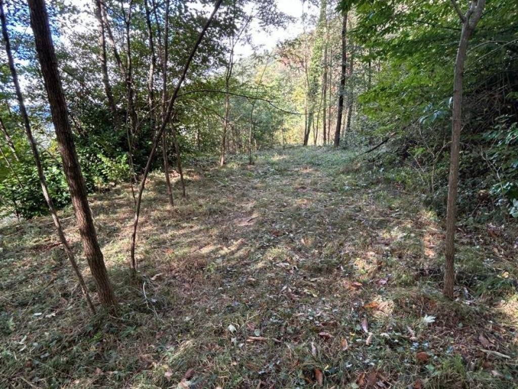 Terreno a Valganna - Foto 5